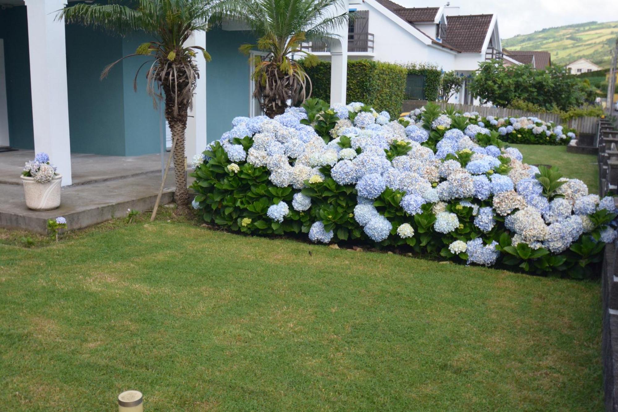 Апартаменты Casinha Das Hortensias Орта Экстерьер фото