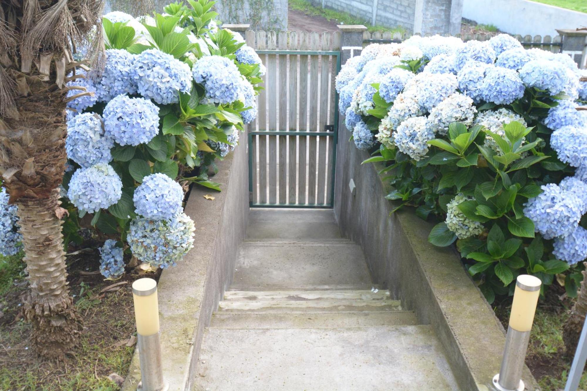 Апартаменты Casinha Das Hortensias Орта Экстерьер фото